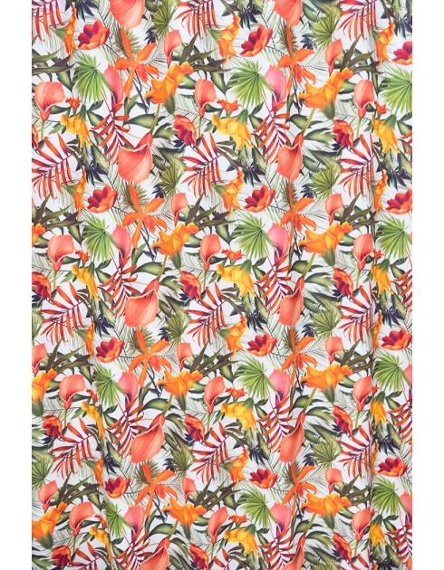 Tropic